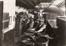 Men unloading baskets of blackcurrants from train, Rowntree factory, York, Yorkshire, 1920. Artist: Unknown
