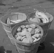 Baskets of seafood at the Fulton fish market, New York, 1943. Creator: Gordon Parks.