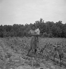 Wife and child of...sharecropper..., Hillside Farm, Person County, North Carolina, 1939. Creator: Dorothea Lange.