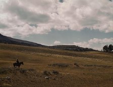 Herder with his flock of sheep on the Gravelly Range, Madison County, Montana, 1942. Creator: Russell Lee.