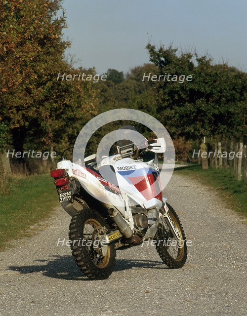 1991 Honda 750 Africa Twin Artist: Unknown.