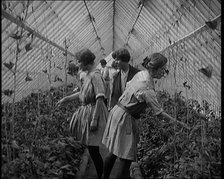 Young Female Civilians Working in a Greenhouse in a Horticultural Class, 1920. Creator: British Pathe Ltd.