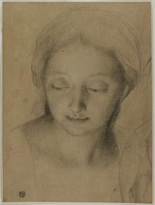 Head of a Woman, n.d. Creator: Antonio Cavallucci.