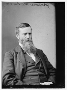 James Baird Weaver of Iowa, between 1870 and 1880. Creator: Unknown.