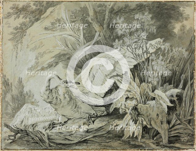 A Wild Swan Attacked by a Dog, c. 1740. Creator: Jean-Baptiste Oudry.