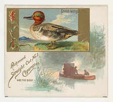Green-winged Teal, from the Game Birds series (N40) for Allen & Ginter Cigarettes, 1888-90. Creator: Allen & Ginter.
