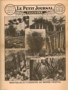 Marvels and curiosities of the plant world, 1931. Creator: Unknown.