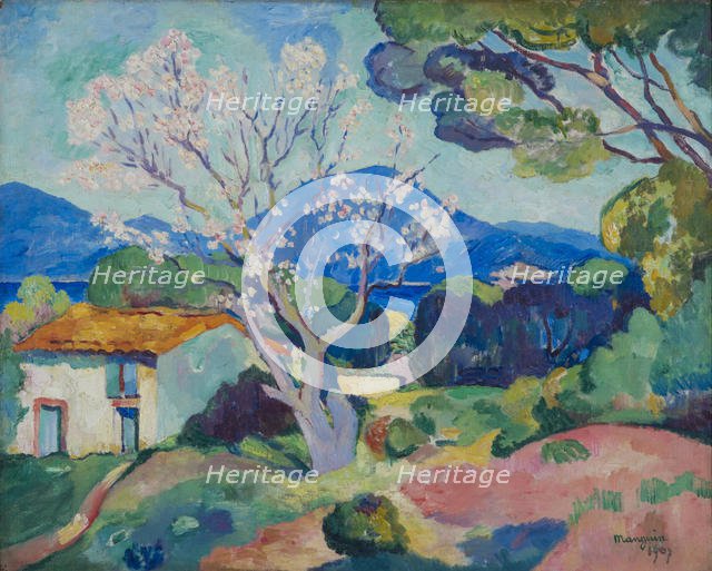 L'Amandier en fleurs, 1907. Creator: Manguin, Henri Charles (1874-1949).