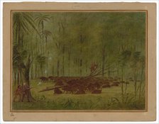 A Fight with Peccaries - Caribbe, 1854/1869. Creator: George Catlin.
