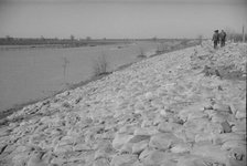The Bessie Levee augmented with sand bags...1937 flood, Near Tiptonville, Tennessee, 1937. Creator: Walker Evans.