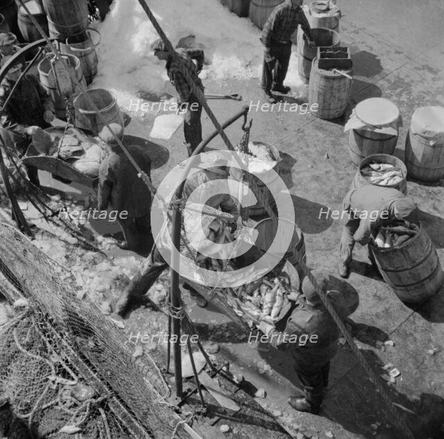Fulton fish market dock stevedores unloading and weighing fish in the early morning, New York, 1943. Creator: Gordon Parks.