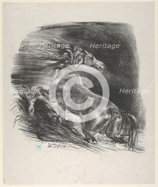 Wild Horse, 1828., 1828. Creator: Eugene Delacroix.