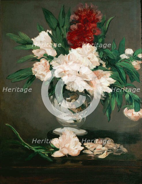 Vase de pivoines sur piédouche, 1864. Creator: Manet, Édouard (1832-1883).