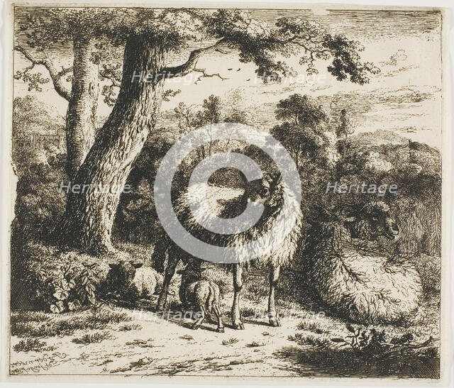 Standing Sheep and Two Lambs, 1685. Creator: Jan van der Meer.