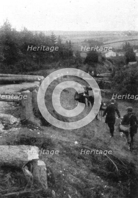 'De magnifigues arbres ombrageaient les grandes routes menant a Liege', 1914 Creator: Unknown.