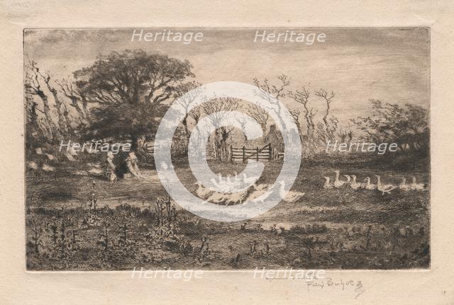 Geese , 1887. Creator: Félix Hilaire Buhot (French, 1847-1898).