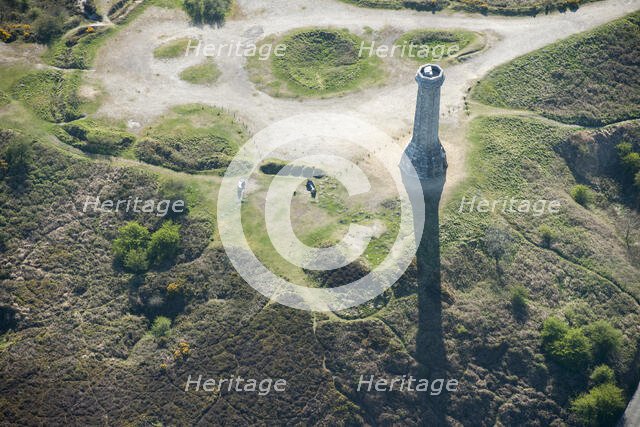 The Hardy Monument, Black Down, Doset, 2015. Creator: Historic England.