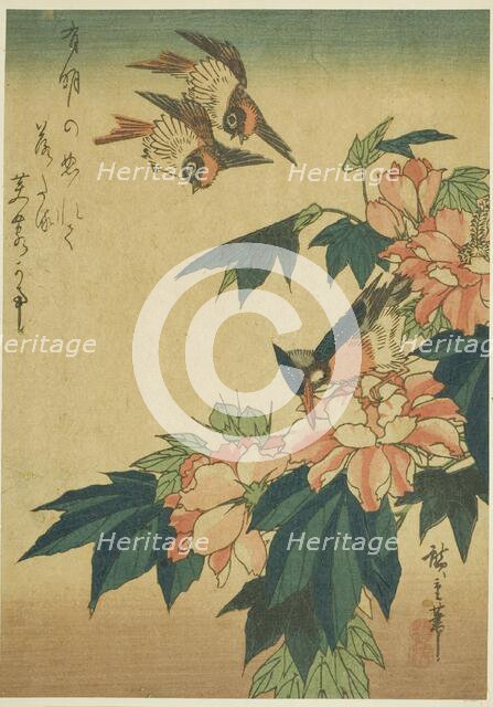 Swallows, kingfisher, and hibiscus, c. 1830s. Creator: Ando Hiroshige.