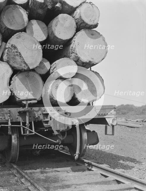 Pelican Bay Lumber Company, near Klamath Falls, Klamath County, Oregon, 1939. Creator: Dorothea Lange.