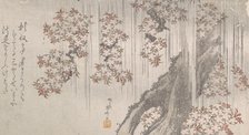 Cherry Blossoms in the Rain, 19th century., 19th century. Creator: Shinsai.