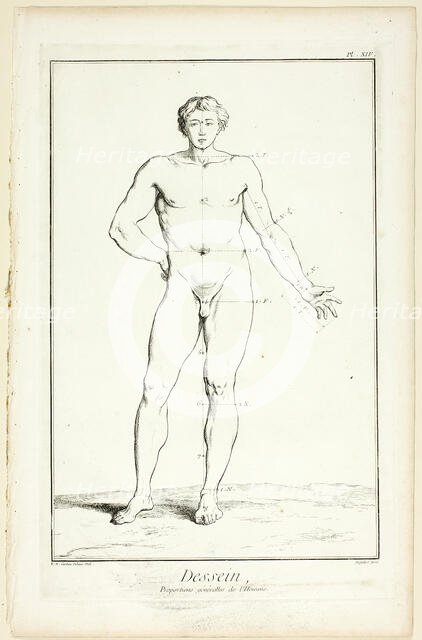 Design: General Proportions of the Male, from Encyclopédie, 1762/77. Creator: A. J. Defehrt.