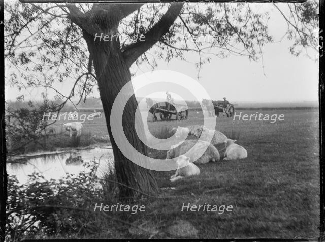 Luckhurst, Lower Road, Stone-cum-Ebony, Ashford, Kent, 1926. Creator: Katherine Jean Macfee.