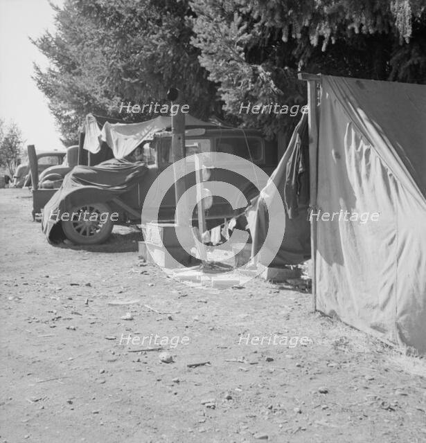 Another migratory family camp during bean harvest, near West Stayton, Marion County, Oregon, 1939. Creator: Dorothea Lange.