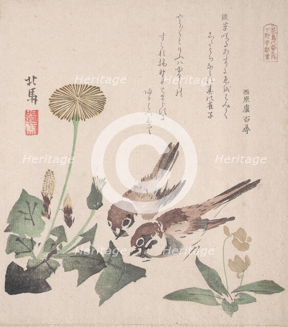 Spring Rain Collection (Harusame shu), vol. 3: Sparrows and Dandelions, ca. 1820., ca. 1820. Creator: Hokuba.
