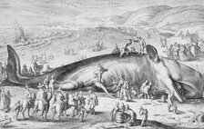 Beached Whale, 1598. Creator: Jacob Matham.