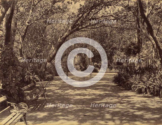 Sookh-Vilas Palace Garden, 1880-90. Creator: Lala Deen Dayal.