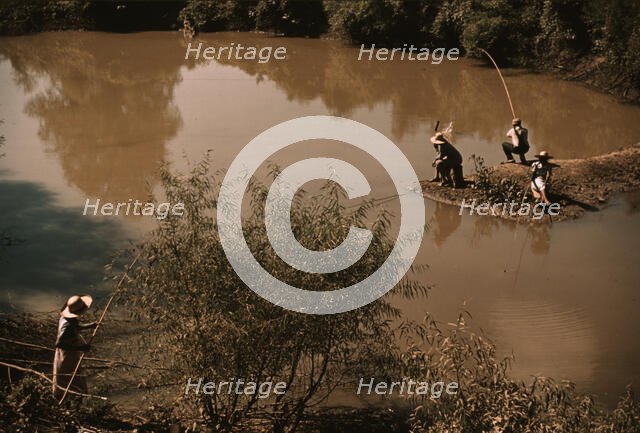 Negroes fishing in creek near cotton plantations outside Belzoni, Miss., 1939. Creator: Marion Post Wolcott.