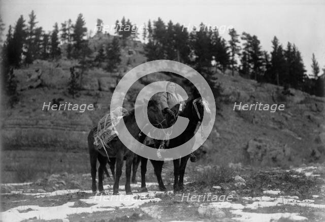 Pack horse [i.e., packhorse]-Apsaroke, c1908. Creator: Edward Sheriff Curtis.
