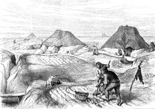 Irish Sketches: bog village, County Roscommon, 1880. Creator: Unknown.