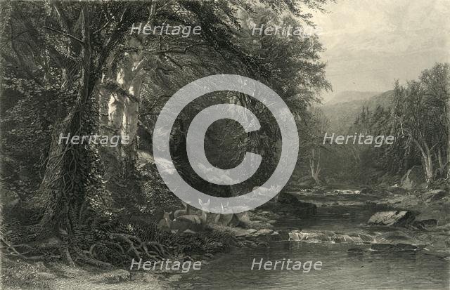 'The Adirondack Woods', 1874.  Creator: Robert Hinshelwood.