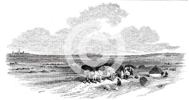 The Bog of Allen, from the Canal Side, 1850. Creator: Smyth.