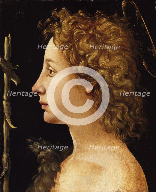 The Young Saint John the Baptist, ca. 1480-82. Creator: Piero di Cosimo.
