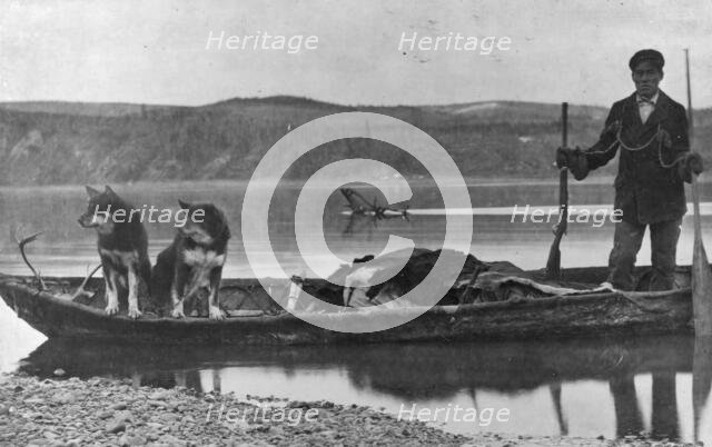 Trapper with hides and dogs in canoe, between c1900 and c1930. Creator: Unknown.