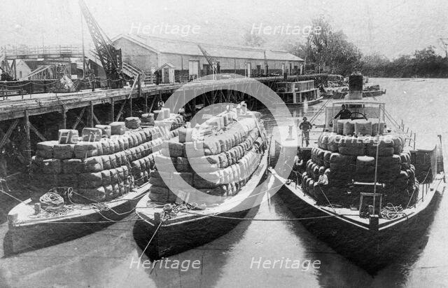 Paddle steamers and barges carrying wool bales - unknown location. Creator: Unknown.