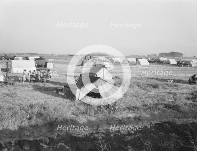 Families camped on flat before season opens..., near Merrill, Klamath County, Oregon, 1939 Creator: Dorothea Lange.