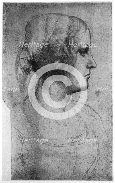 Portrait study of a young girl's head, 15th century(?) (1954).Artist: Leonardo da Vinci