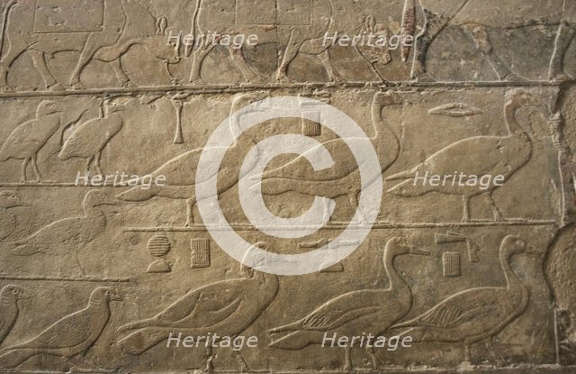 Relief showing ducks and birds, Mastaba of Ti, Egypt, 5th Dynasty, Old Kingdom, c2400 BC (2003). Creator: Unknown.
