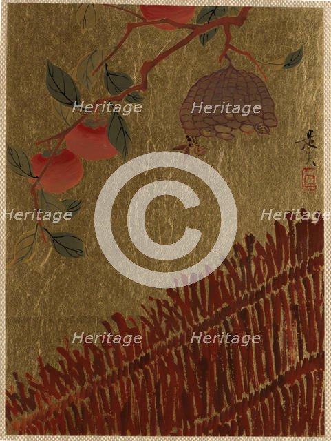 Persimmons Branch and Wasp Nest above a Hedge. Creator: Shibata Zeshin.