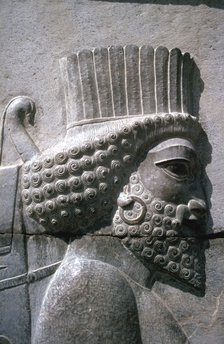 Relief of a Persian man, the Apadana, Persepolis, Iran