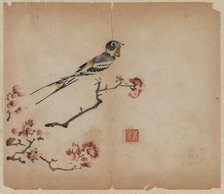 Swallow on Flowering Peach Branch, 1368-1644. Creator: Unknown.