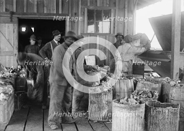 Camp Meade, Maryland - Misc, Views, 1917. Creator: Harris & Ewing.