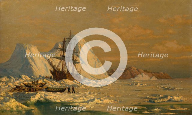 An Incident of Whaling. Creator: William Bradford.