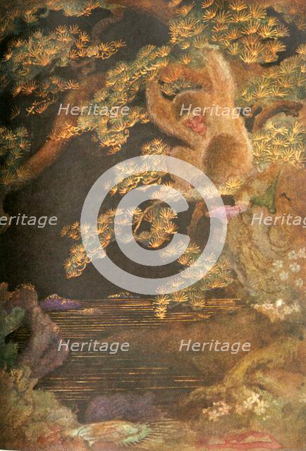 'The Jelly Fish and the Monkey', 1912. Creator: Evelyn Paul.