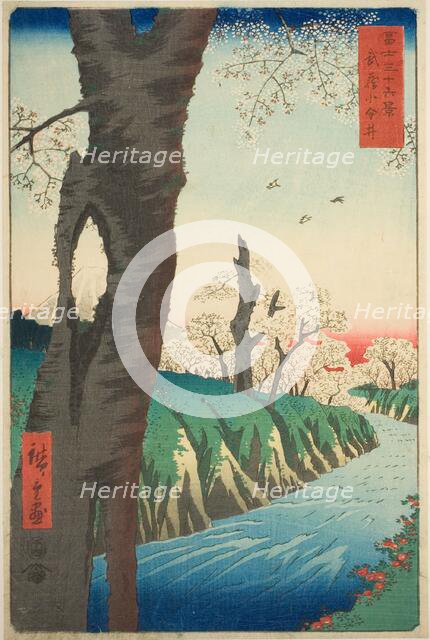 Koganei in Musashi Province (Musashi Koganei), from the series "Thirty-six Views of..., 1858. Creator: Ando Hiroshige.