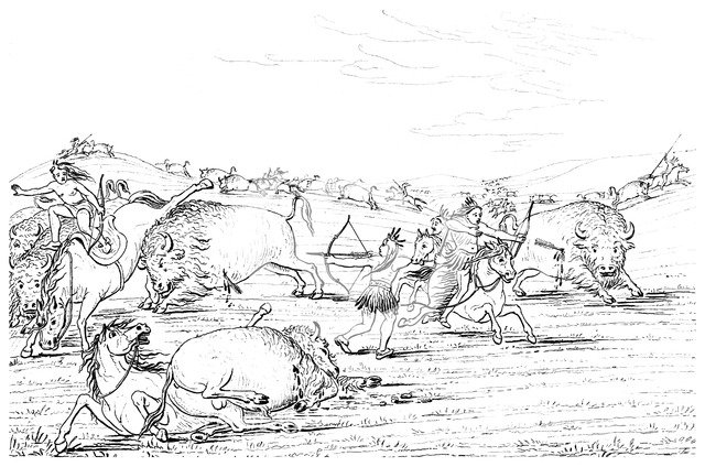 Native Americans hunting buffalo, 1841.Artist: Myers and Co