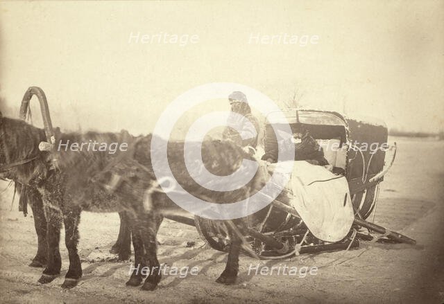 A Siberian posting sledge on a cold morning, between 1885 and 1886. Creator: George Albert Frost.